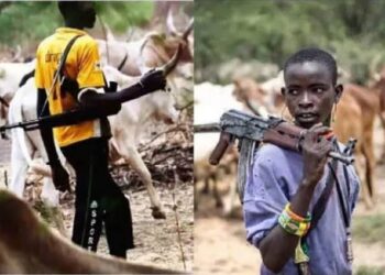 BREAKING: Fleeing Oyo Killer Herdsmen Relocate To Ogun, Unleash Fresh Terror Attack