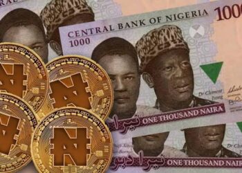 What Every Nigerian Should Know About New Digital Currency, e-Naira