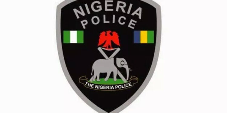 Nigerian Police, NPF