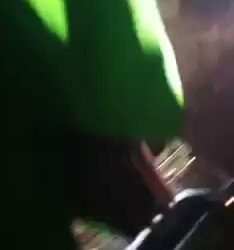 VIDEO: Nigerian Man Who Married 59 Wives, Had 300 children Buried With Car