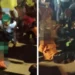 AFCON 2021: Six Reported Dead, Many Injured At Cameroon Vs Comoros Match(Video)