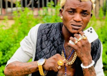 Real Reason Why I Dropped Out Of School – Zazu Crooner, Portable Opens Up