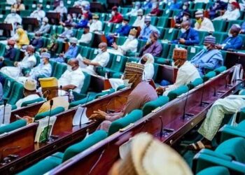 JUST IN: House Of Reps Ask FG To Declare National Emergency On Ritual Killings