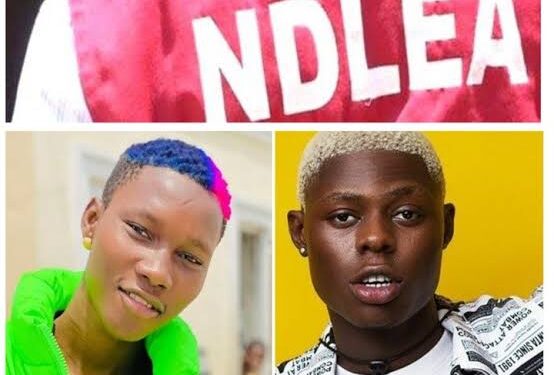 JUST IN: Why We Arrested Singers, Zinoleesky, Mohbad – NDLEA