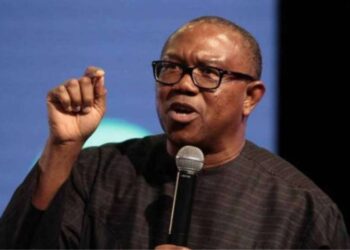 BREAKING: Peter Obi To Fight Atiku, Others For PDP Ticket - DAILY GIST