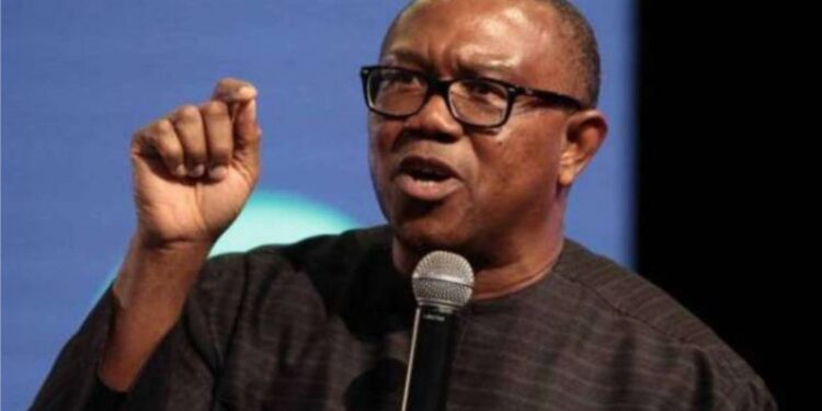 BREAKING: Peter Obi To Fight Atiku, Others For PDP Ticket - DAILY GIST