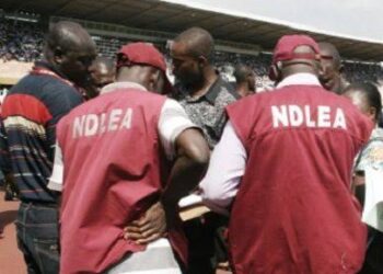 How Two Drug Dealers Excrete 165 Wraps Of Cocaine In Custody After Arrest — NDLEA(Photos)