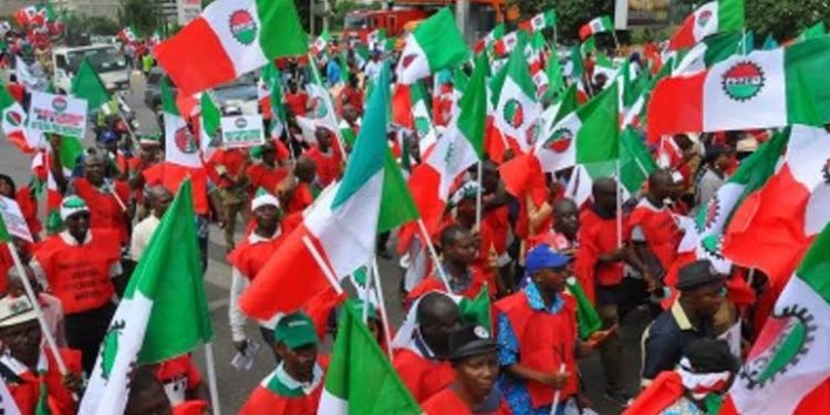 ASUU Strike: NLC To Embark On Nationwide Strike In Solidarity With Unions, Students