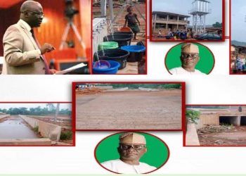 Senator Adetunmbi: What Do ‘The Electorate’ Want?