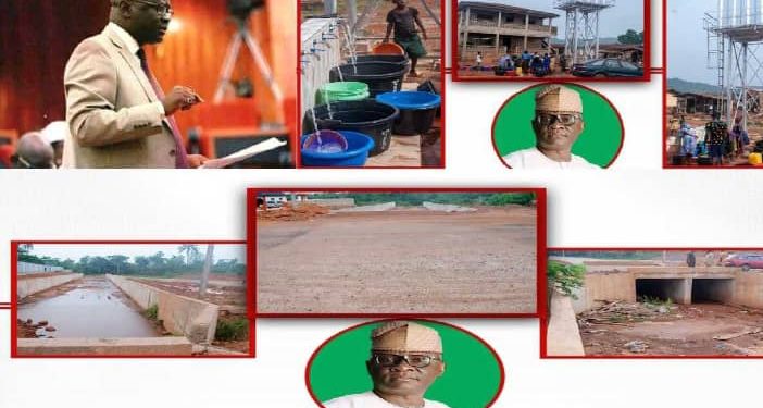 Senator Adetunmbi: What Do ‘The Electorate’ Want?