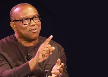 UPDATED: Real Reason Why I Quit PDP,  Presidential Primary – Peter Obi