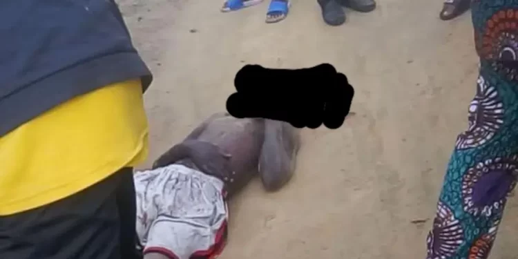 Tension In Lagos As Fulani Herdsmen Attack Passengers Over Cow’s Death, One Killed(Video)