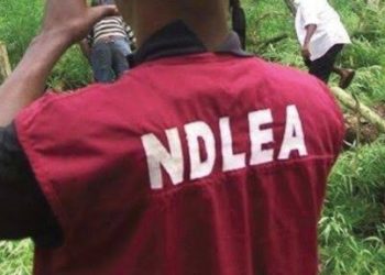 BREAKING: Kuje Jailbreak: NDLEA Arrests Wanted ‘Terrorist’ While Fleeing(Photos)