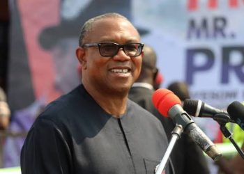 BREAKING: 2023: Afenifere Declares Support For Peter Obi