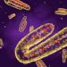 BREAKING: Nigeria At Risk Of Marburg Virus — NCDC