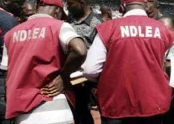 BREAKING: NDLEA, NURTW In Gunbattle In Osun