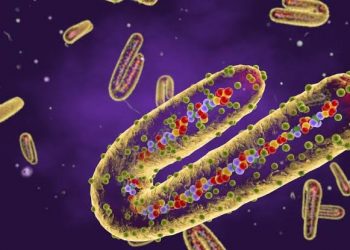 JUST IN: Management Speaks On Outbreak Of Marburg Virus At UNIABUJA Hospital