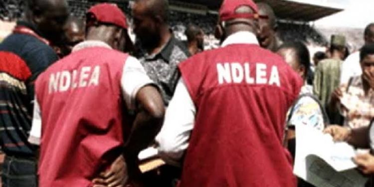 BREAKING: NDLEA Busts Lagos Mansion With 13Million Tramadol Pills, Baron Arrested(Photos)
