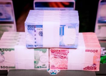 SDP Presidential Candidate, Prince Adebayo Fault Apex Bank Policy On Naira Redesign