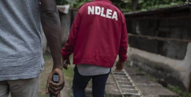 BREAKING: NDLEA Arrests Church General Overseer(Video)