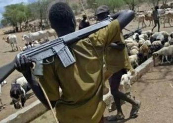 BREAKING: Fulani Herdsmen Unleash Fresh Terror Attack, Kill 38