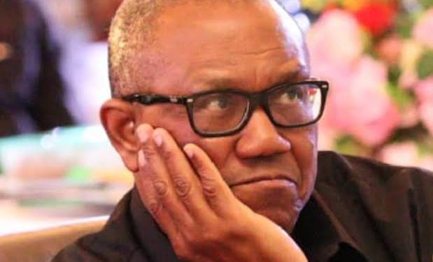 Labour Party Calls For Peter Obi Arrest, Gives Reasons