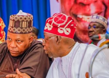 JUST IN: Subsidy Removal: Shettima-Led NEC Proposes N702Bn Allowance For Civil Servants