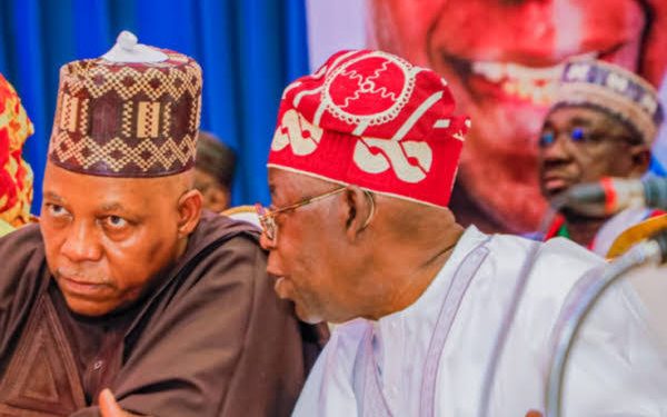 JUST IN: Subsidy Removal: Shettima-Led NEC Proposes N702Bn Allowance For Civil Servants