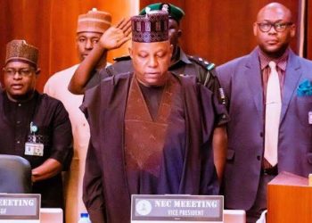 BREAKING: NEC Unveils New Palliative Measures For Nigerians