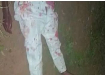 Beheaded Labour Party Campaign DG