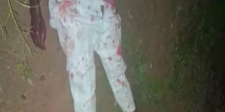 Beheaded Labour Party Campaign DG