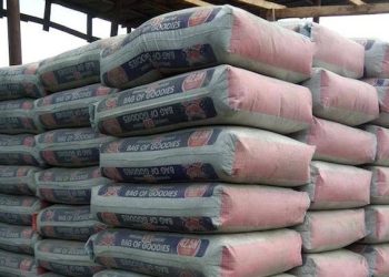 BUA Cement Price