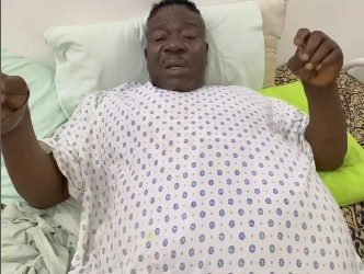 Mr Ibu