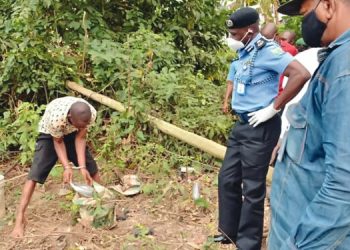 How I Beheaded OAU Student For Money Rituals In Ogun — Nigerian Man