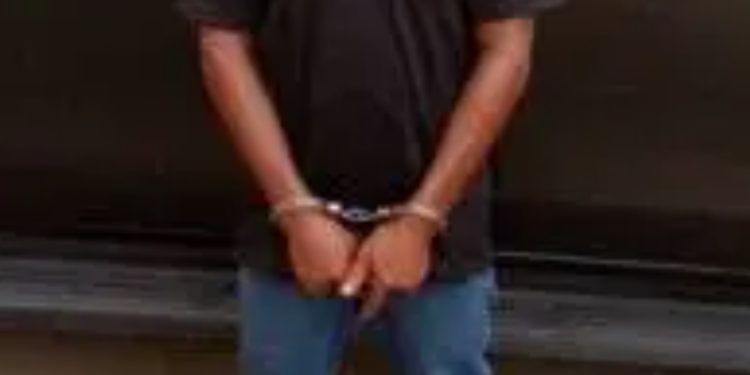 Japa: Police Arrest Man For Attempting To Sell Company's Car To Fund Relocation