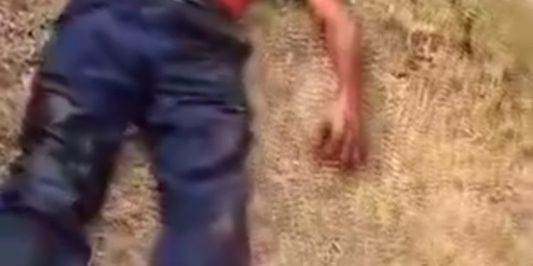 Lion Kills OAU Staff On Campus