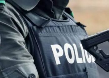 Police, Police Officer