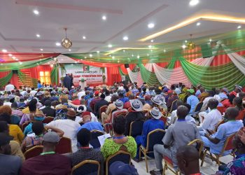 BoT Declares LP's Convention Charade, Takes Over Party