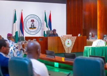 FG Approves N60 Billion SME Fund For Young Business Owners