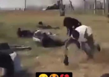 Fulani Herdsmen Attack Nigerian Varsity, Environs, Gundown 15