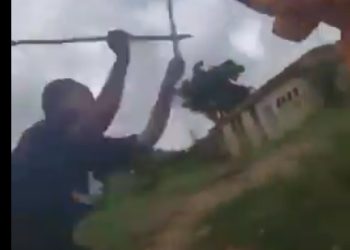 Ekiti Varsity Expels Female Student Who Flogged Colleague In Viral Video