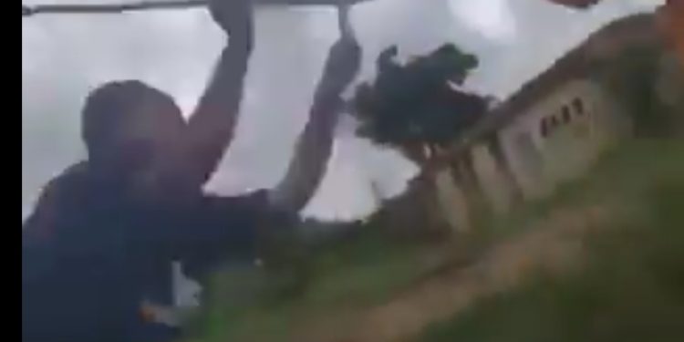 Ekiti Varsity Expels Female Student Who Flogged Colleague In Viral Video