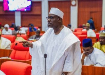 Ali Ndume Removed As Chief Whip Of Senate