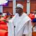 Ali Ndume Removed As Chief Whip Of Senate