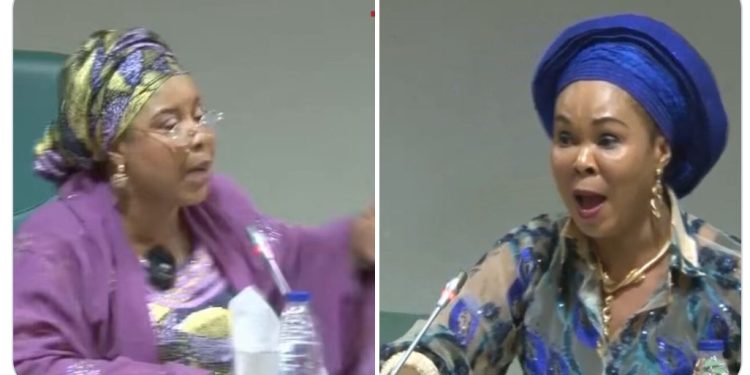 VIDEO: House Of Reps In Heated Argument With Tinubu's Minister Over Alleged Fraud