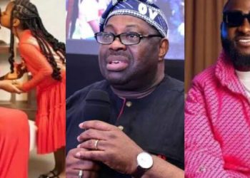 Real Reason Davido And Sophia Are Fighting — Dele Momodu