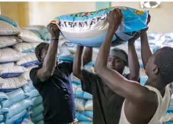 APPLY: Nigerian Govt Begins Sharing Of Subsidized 40k Rice