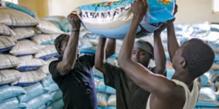 APPLY: Nigerian Govt Begins Sharing Of Subsidized 40k Rice