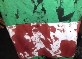 BREAKING: Protesters Gunned Down In Niger